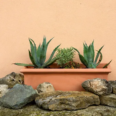 Bed and breakfast Il Bed And Bookfast 3*