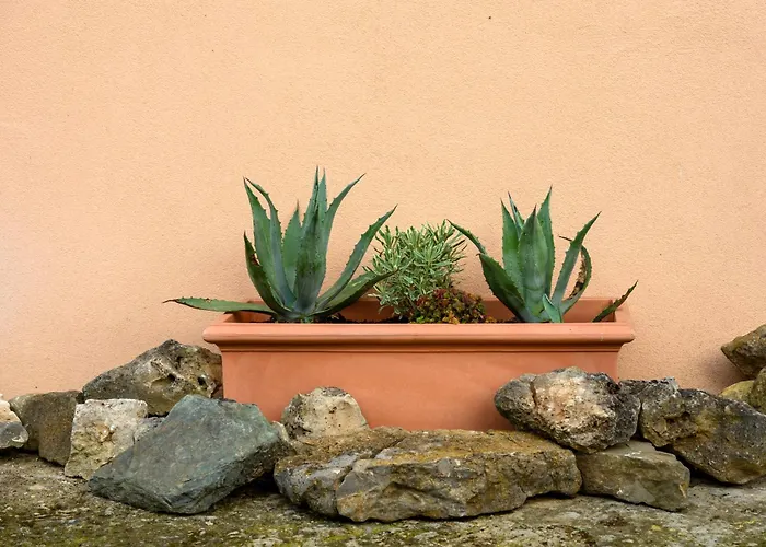 Bed and breakfast Il Bed And Bookfast 3*